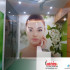Đề can, đề can kính, đề can mỹ thuật các loại