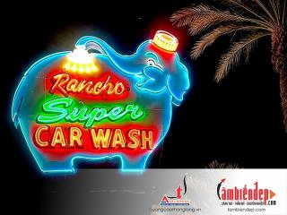 Biển neon trang trí cửa hàng rửa xe tự động